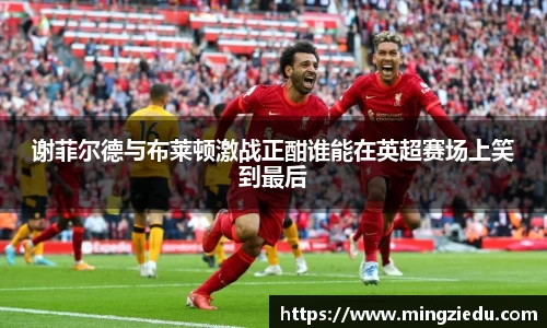 谢菲尔德与布莱顿激战正酣谁能在英超赛场上笑到最后