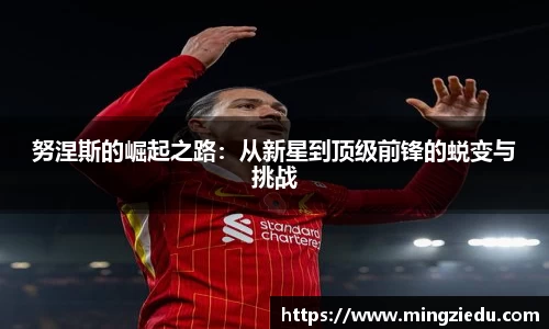 努涅斯的崛起之路：从新星到顶级前锋的蜕变与挑战